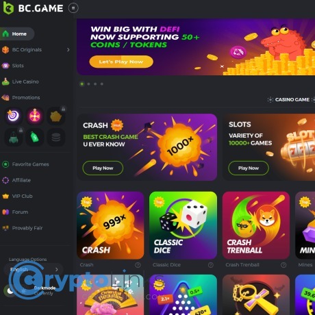BC.Game Contact Information How to Reach Customer Support