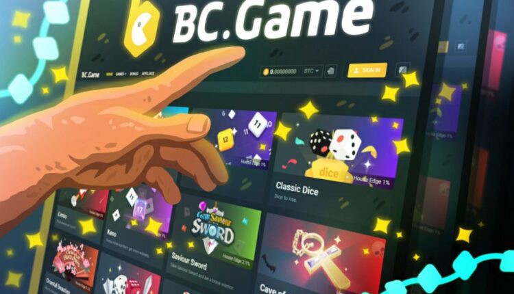 BCStavka User Reviews Insights, Experiences, and Feedback