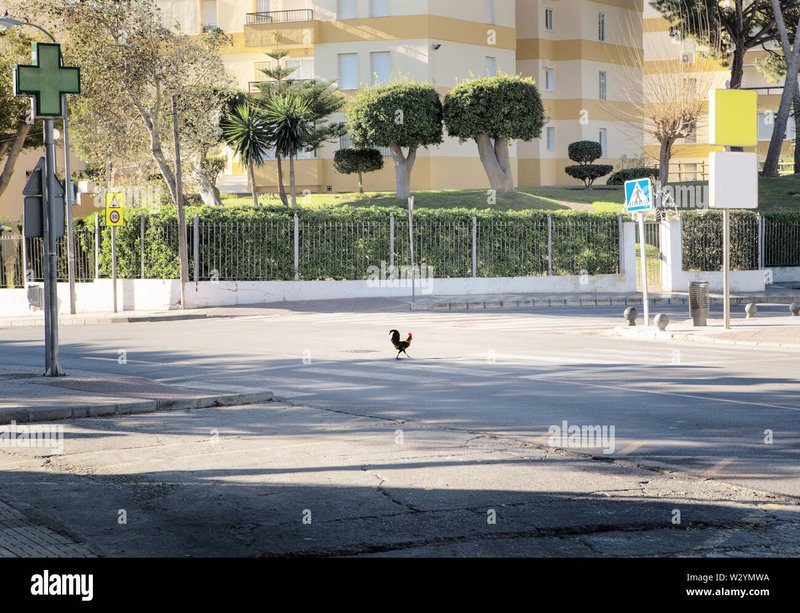 Conoce el Misterioso Juego de la Carretera de Pollo en España