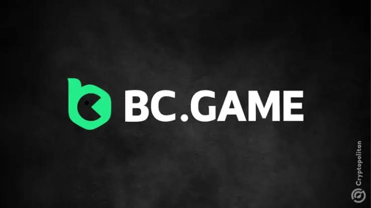 Exploring Cookies at BC.Game A Gamer's Delight